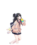 SfpCardImg-1302004.png